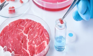 Лабораторный анализ пищевых продуктов по СанПиН в Алейске в октябре