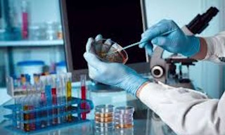 Лабораторный анализ воды из колодца в Алейске в октябре