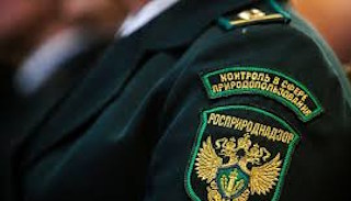 Подготовка к проверке Росприроднадзора в Алейске от ПромМир, стоимость услуги от 20622 руб.